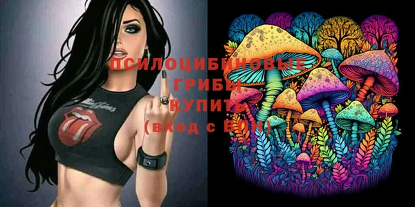герыч Вязники