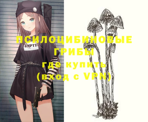 соль курить ск Вязьма